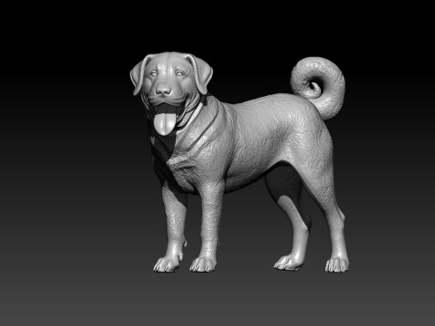 Anatolian Shepherd Dog model - 3D print 3D-Druckmodell