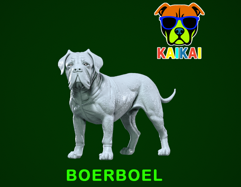 Boerboel statue - South African Mastiff model - 3D print 3D 打印模型 .c4d .max .obj .3ds .fbx .stl .blend