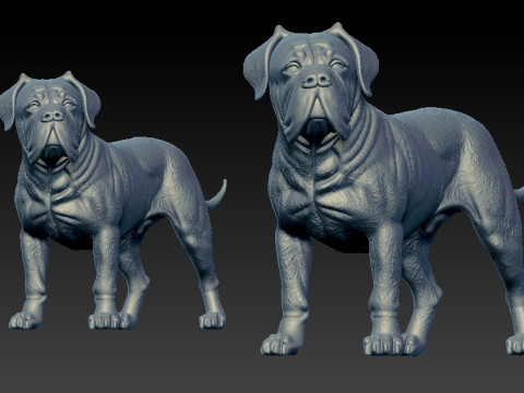 Boerboel statue - South African Mastiff model - 3D print 3D 打印模型