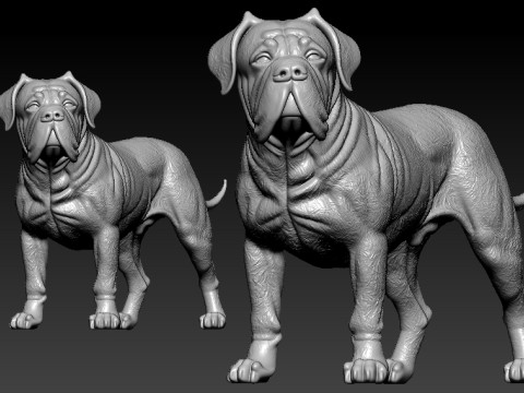 Boerboel statue - South African Mastiff model - 3D print 3D 打印模型