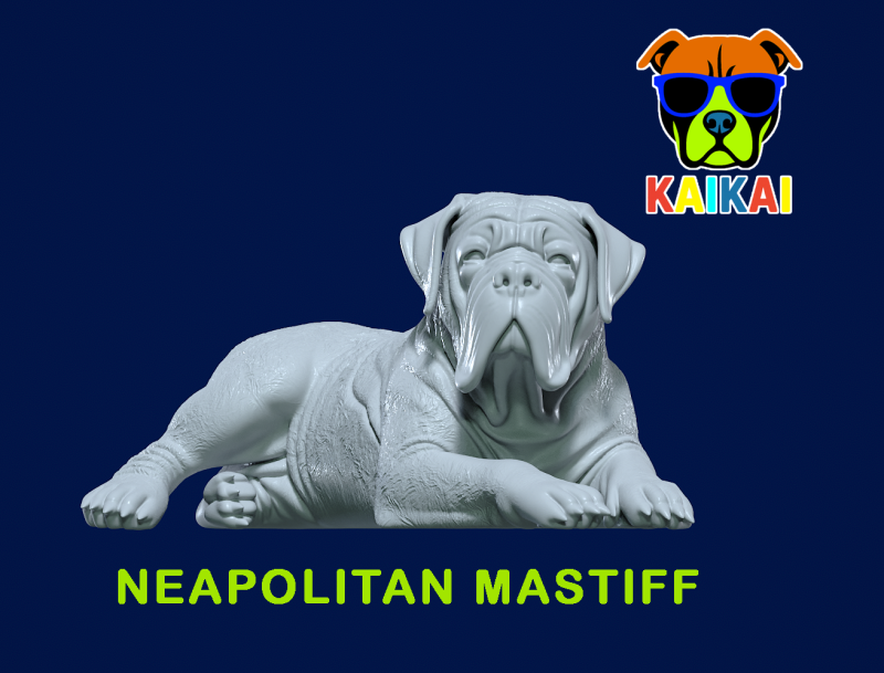 Neapolitan Mastiff statue - Italian Bulldog model - 3D print Modelo de impresión 3D .c4d .max .obj .3ds .fbx .stl .blend