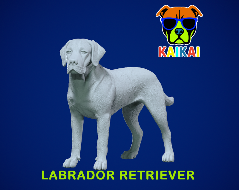 Labrador Retriever statue - Labrador model - 3D print 3D Принт Модель .c4d .max .obj .3ds .fbx .stl .blend