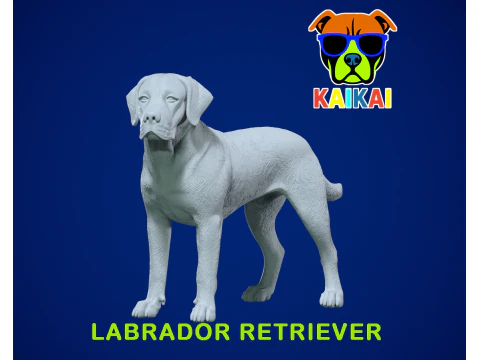 Labrador Retriever standbeeld - Labrador-model - 3D-print 3D printmodel