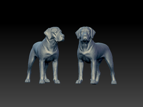 Labrador Retriever statue - Labrador model - 3D print 3D Принт Модель