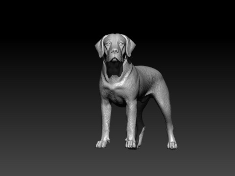 Labrador Retriever statue - Labrador model - 3D print 3D Принт Модель