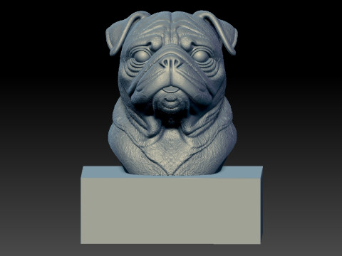 Pug dog bust - head dog model - 3D print Modelo de impresión 3D