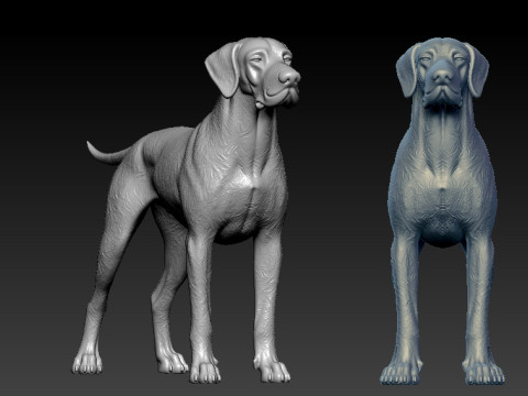 The Afador Breed model - 3D print 3D-printmodel