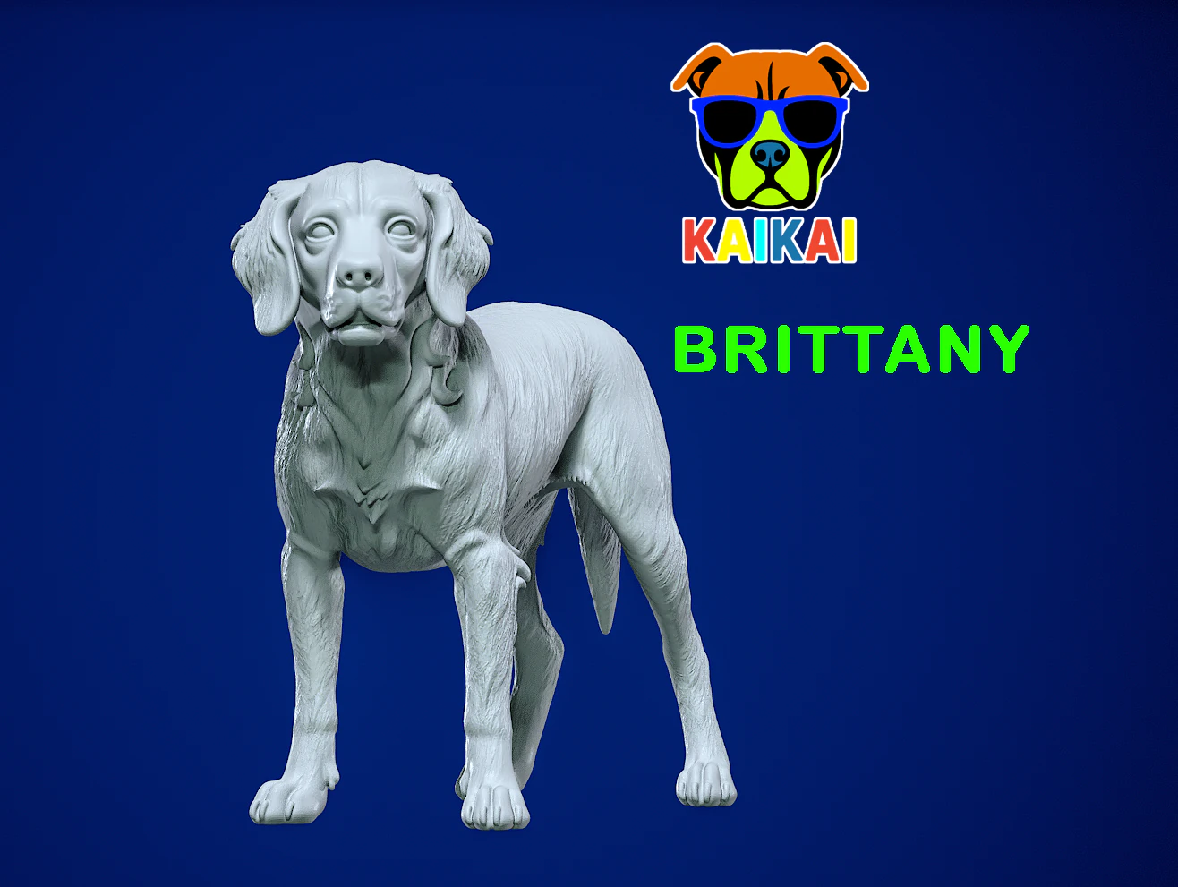 Brittany Spaniel - Breton Spaniel model - 3D print 3D Print Model .c4d .max .obj .3ds .fbx .stl .blend 