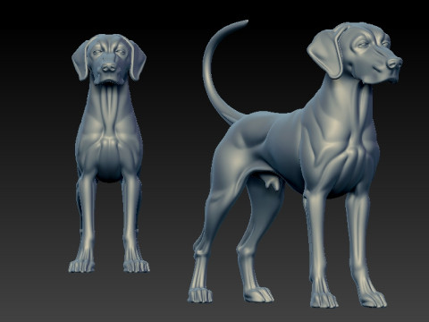 Weimaraner model - 3D print 3D 프린트 모델
