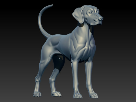 Weimaraner model - 3D print 3D 프린트 모델
