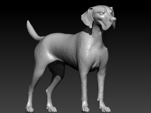 German Shorthaired Pointer model Dog - 3D print 3D 프린트 모델