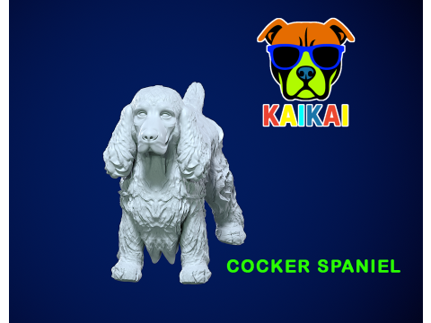 Cocker Spaniel dog - American Cocker Spaniel dog - 3D print 3D Принт Модель