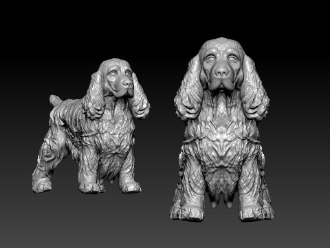 Cocker Spaniel dog - American Cocker Spaniel dog - 3D print Modelo de impresión 3D
