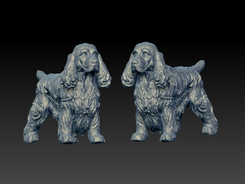 Cocker Spaniel dog - American Cocker Spaniel dog - 3D print Modelo de impresión 3D