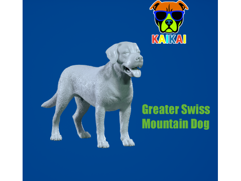 Greater Swiss Mountain Dog model - 3D print 3D Принт Модель