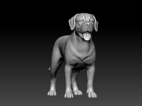 Greater Swiss Mountain Dog model - 3D print Modelo de impresión 3D