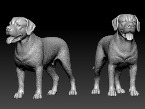 Greater Swiss Mountain Dog model - 3D print Modelo de impresión 3D
