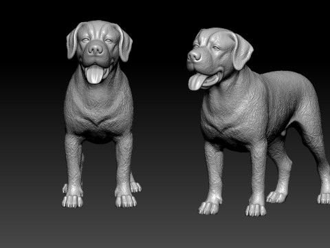 Greater Swiss Mountain Dog model - 3D print Modelo de impresión 3D