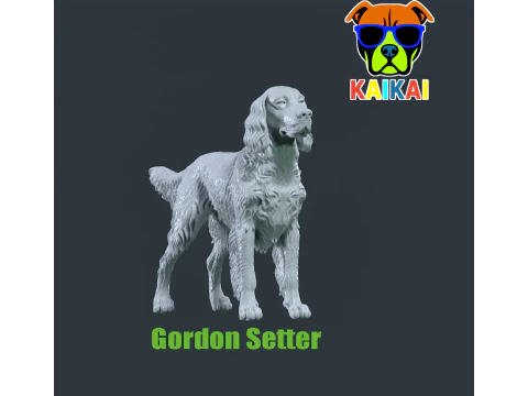 Cane Gordon Setter - Gordon the Hound dog - stampa 3D Modello di stampa 3D