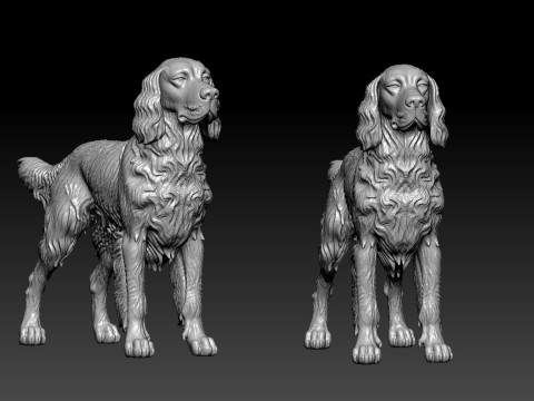 Gordon Setter dog - Gordon the Hound dog - 3D print 3D Принт Модель