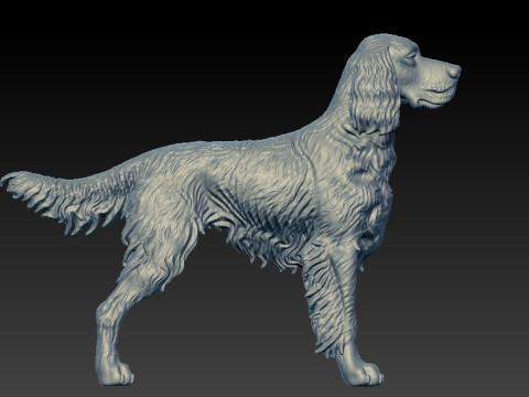 Gordon Setter dog - Gordon the Hound dog - 3D print 3D Принт Модель