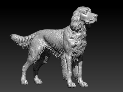 Gordon Setter dog - Gordon the Hound dog - 3D print 3D Принт Модель