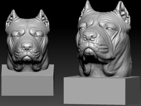 Dog American bully bust model - 3D print Modelo de impresión 3D