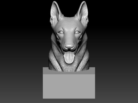 DOG - Belgian Shepherd HEAD MODEL - 3d PRINT 3Dプリントモデル
