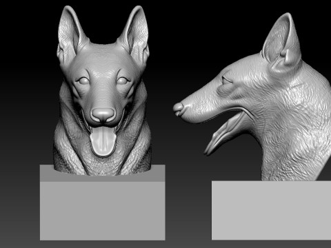 DOG - Belgian Shepherd HEAD MODEL - 3d PRINT 3Dプリントモデル