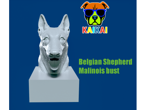 DOG - Belgian Shepherd HEAD MODEL - 3d PRINT 3D 打印模型