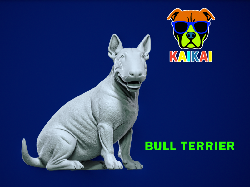 Bull Terrier dog model - 3D print 3D Принт Модель .c4d .max .obj .3ds .fbx .stl .blend