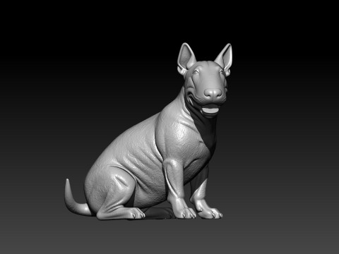 Bull Terrier dog model - 3D print 3D 打印模型