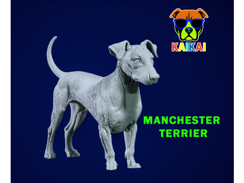 Manchester Terrier Dog model - 3D print 3D Принт Модель