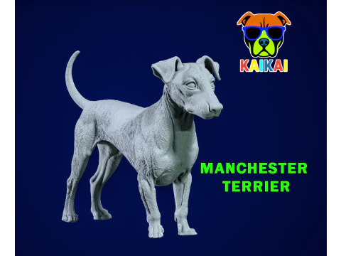 Modello di cane Manchester Terrier - stampa 3D Modello di stampa 3D