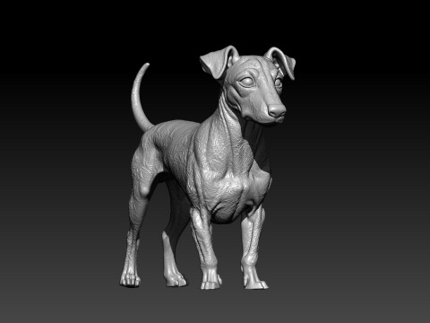 Manchester Terrier Dog model - 3D print 3D Принт Модель