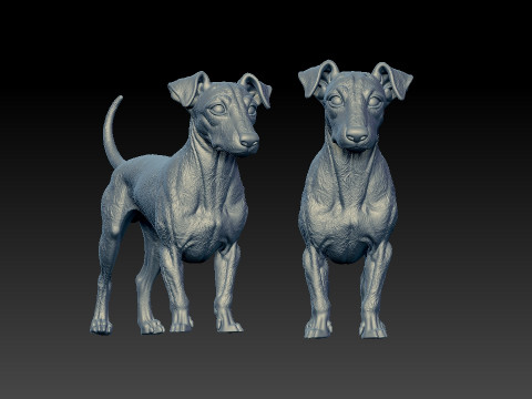 Manchester Terrier Dog model - 3D print 3D Принт Модель