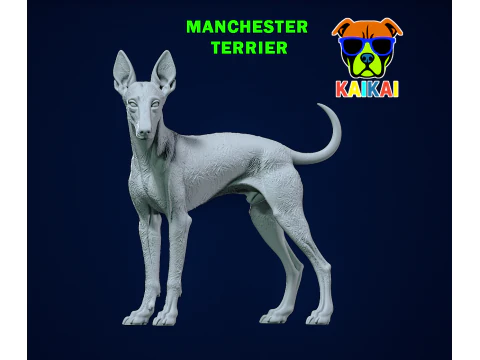맨체스터 테리어 개 모델 - 3D 프린트 3D 프린트 모델