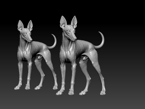 Manchester Terrier Dog model - 3D print 3D Принт Модель
