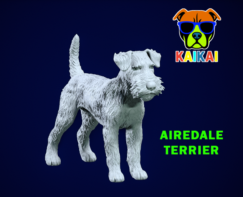 Airedale Terrier Dog model - 3D print Modello di stampa 3D .c4d .max .obj .3ds .fbx .stl .blend
