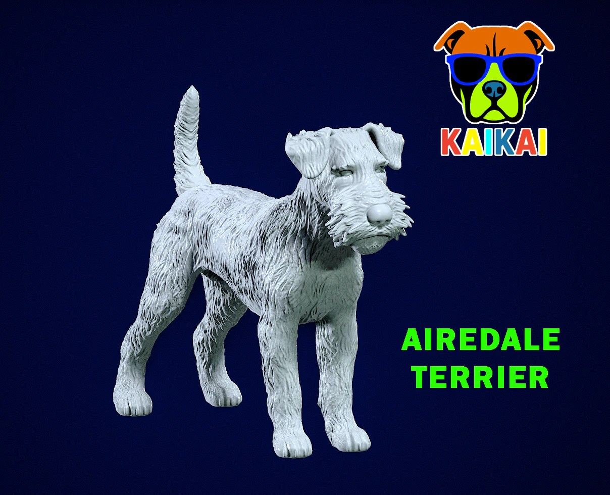 Airedale Terrier Dog model - 3D print 3D Print Model .c4d .max .obj .3ds .fbx .stl .blend