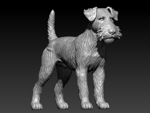 Airedale Terrier Dog model - 3D print Modello di stampa 3D
