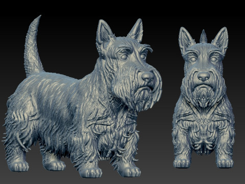 Scottish Terrier Dog model - 3D print 3D Принт Модель