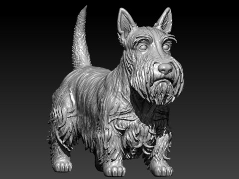 Scottish Terrier Dog model - 3D print 3D Принт Модель
