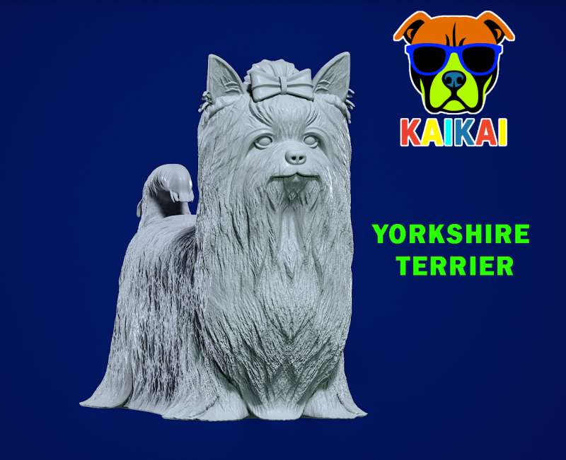 Yorkshire Terrier Dog model - 3D print 3D-Druckmodell .c4d .max .obj .3ds .fbx .stl .blend
