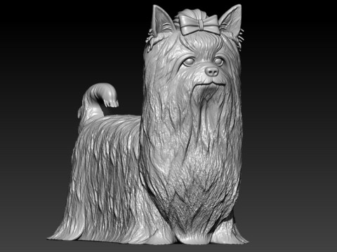 Yorkshire Terrier Dog model - 3D print 3D-Druckmodell