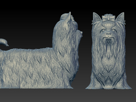 Yorkshire Terrier Dog model - 3D print 3D-Druckmodell
