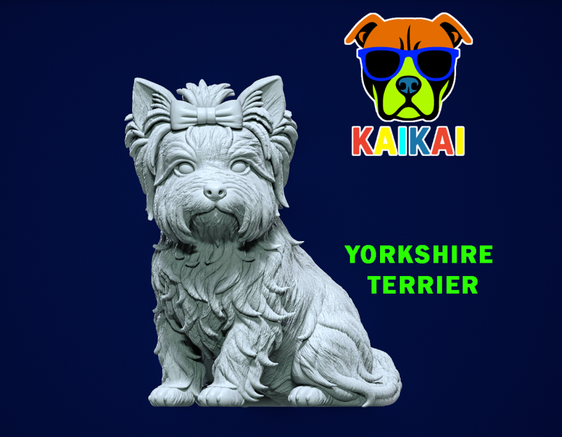 Dog Yorkshire Terrier - Yorkshire model - 3D print 3D Принт Модель .c4d .max .obj .3ds .fbx .stl .blend