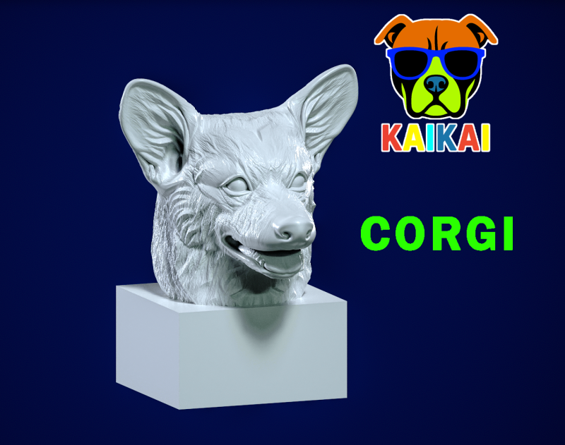 Head References Pembroke Welsh Corgi model - 3D print 3Dプリントモデル .c4d .max .obj .3ds .fbx .stl .blend