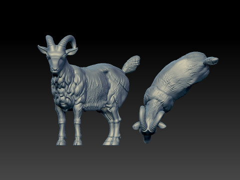 Mountain goat Bovidae model - 3D print 3D Принт Модель