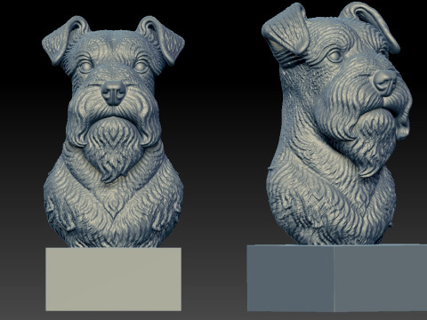 Miniature Schnauzer - Dwarf Schnauzer Dog model - 3D print Modelo de Impressão 3D